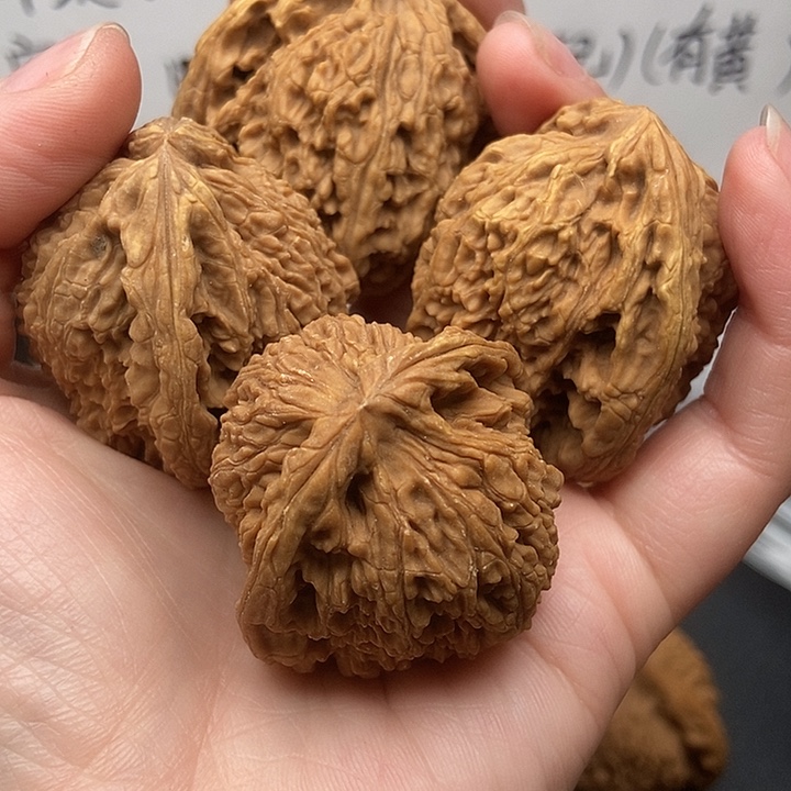 洪***哥大大大大大大南疆黄金甲