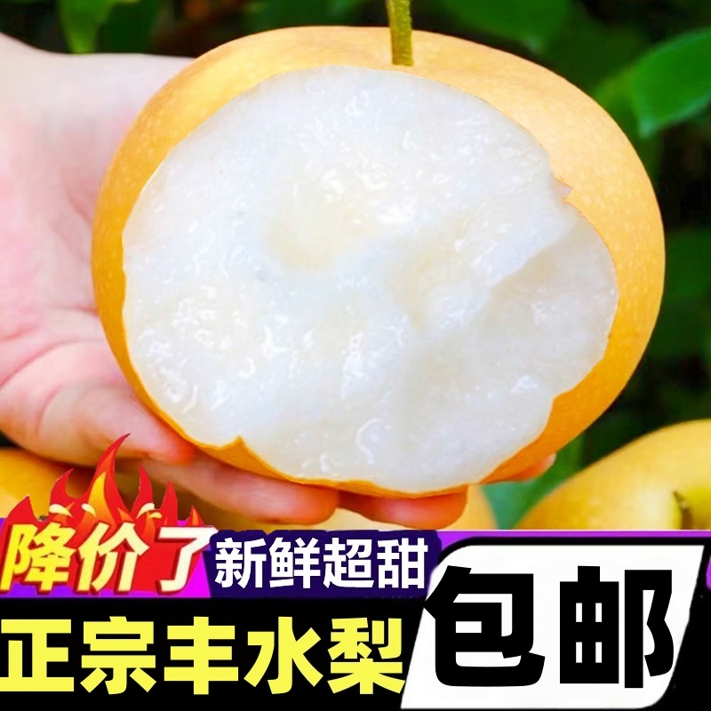 正宗山东丰水梨水果梨子新鲜整箱包邮当季脆甜梨子