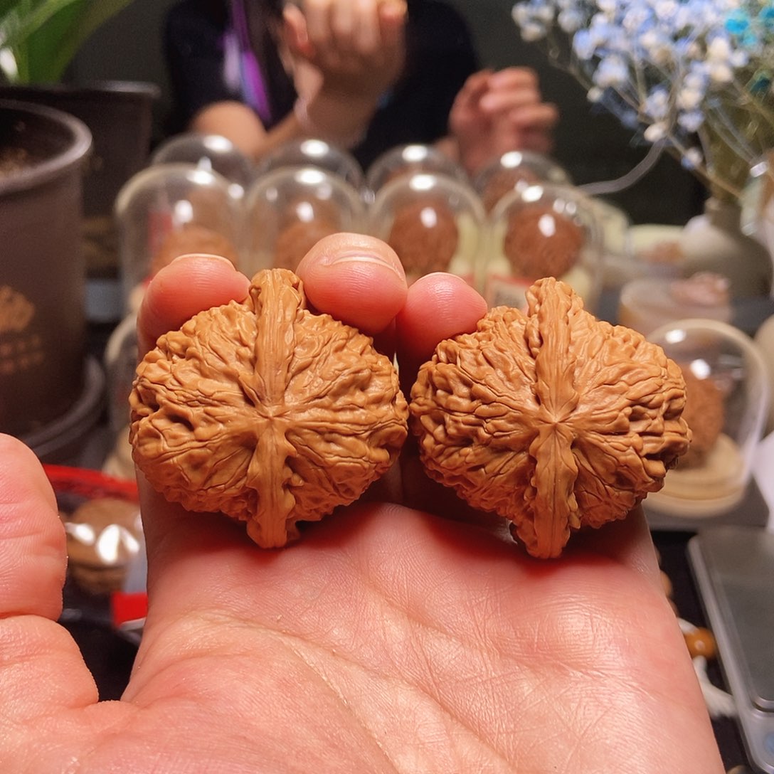 43球白浅修精打底核桃
