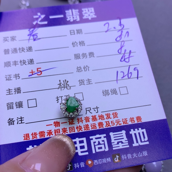 翡翠颈饰银S925镶嵌春*