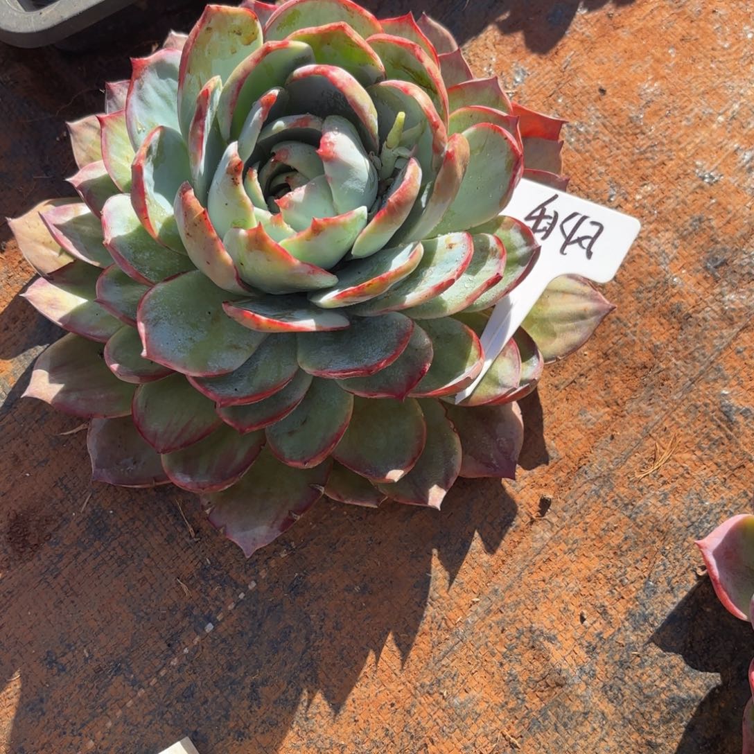 ****燥哈哈哈哈哈哈哈哈哈哈哈