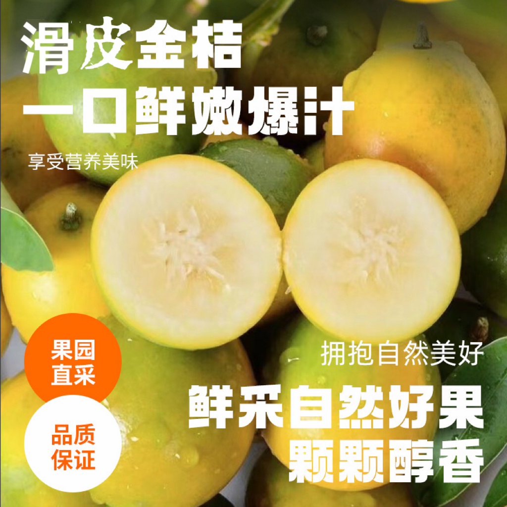 广西融安第二代滑皮小金桔1斤/2斤/3斤gr
