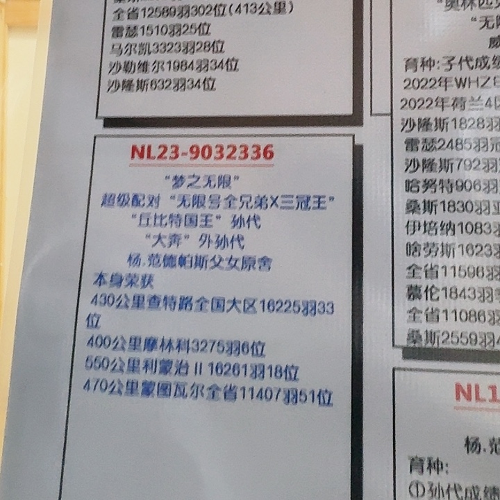 血统书血统书血统书