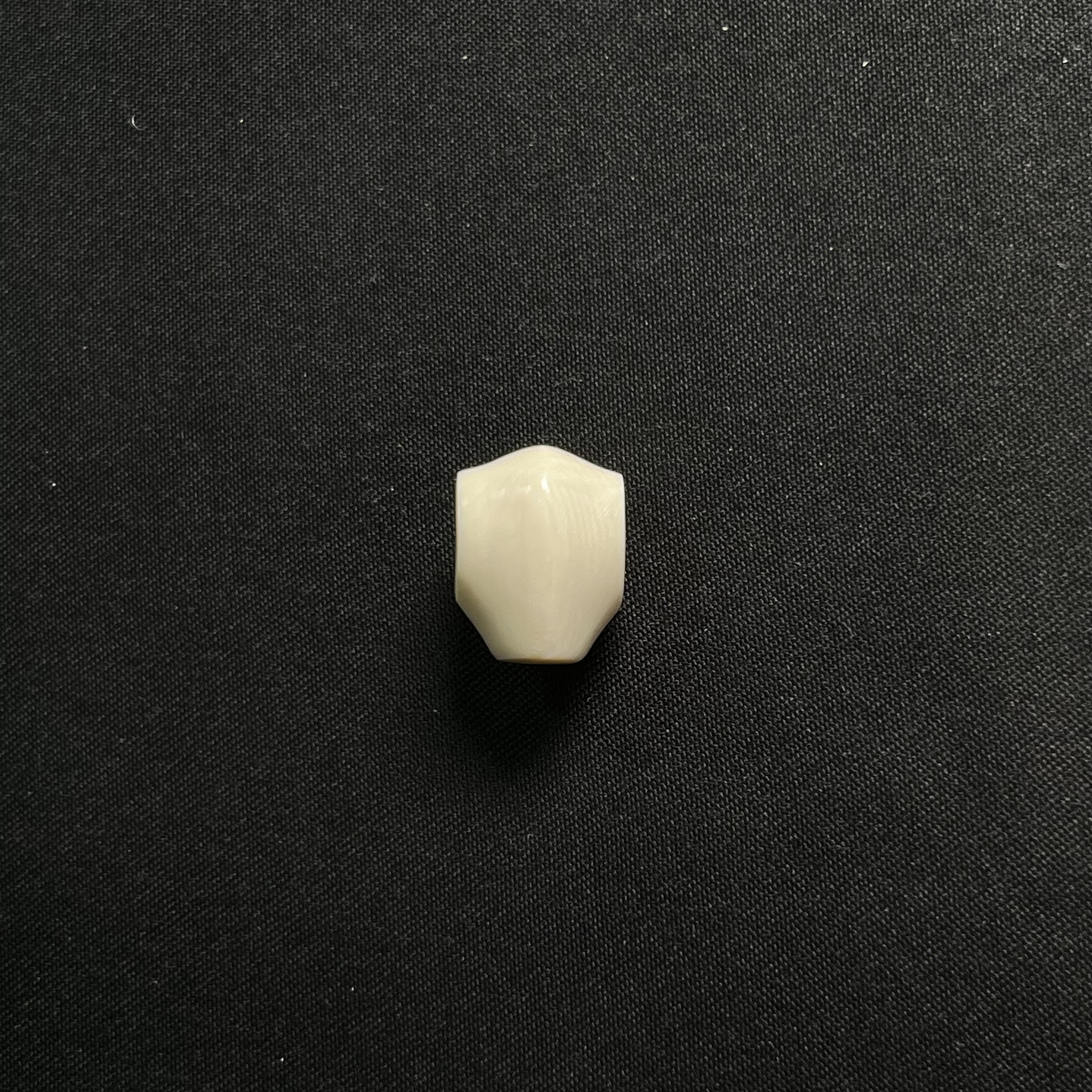 DS16 鲨鱼背三通 只做天然猛犸牙