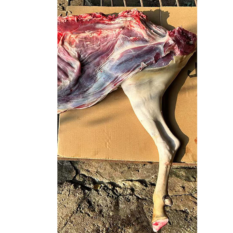 直播现称【后腿加软腩】新鲜羊肉散养山羊现宰下单不支持退款