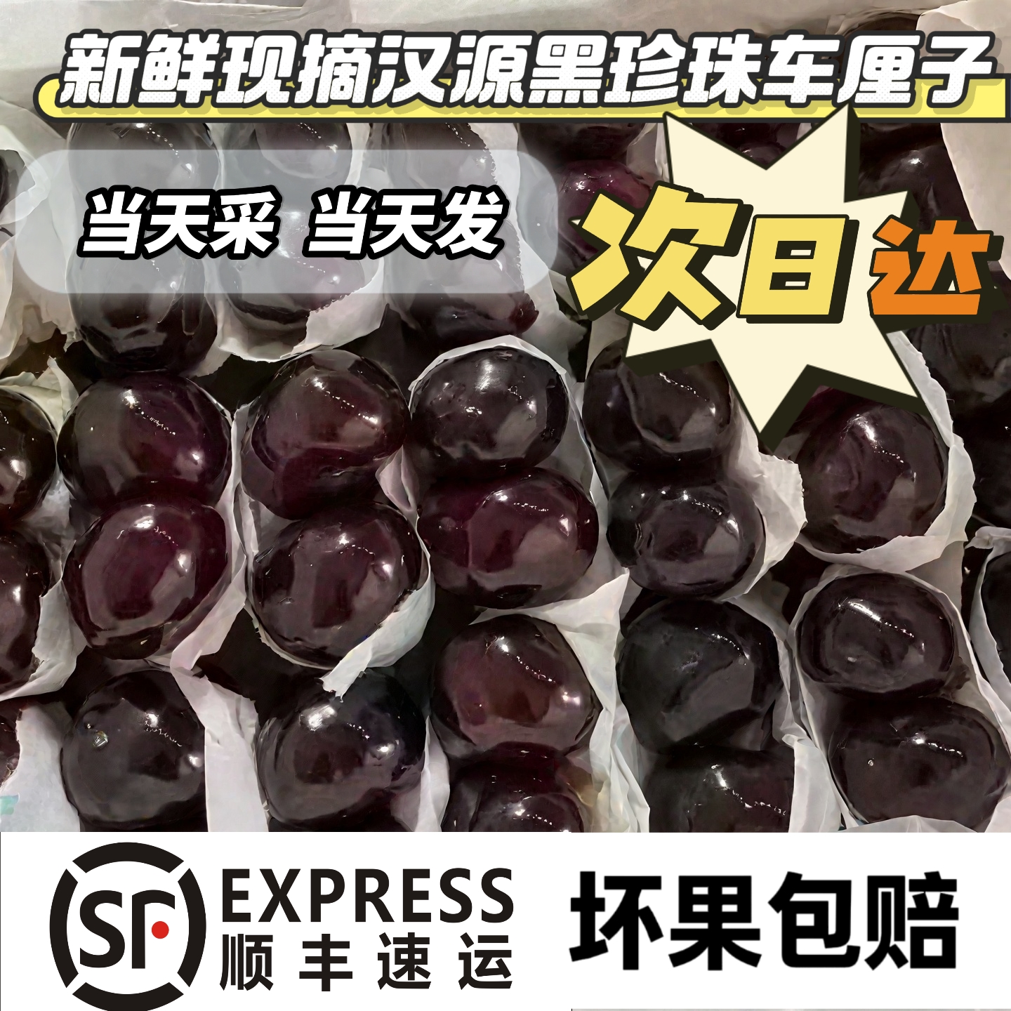 四川汉源黑珍珠车厘子新鲜应季水果套袋大樱桃自家果园现摘JJJ2斤/3斤/4斤顺丰包邮新鲜水果黑珍珠樱桃