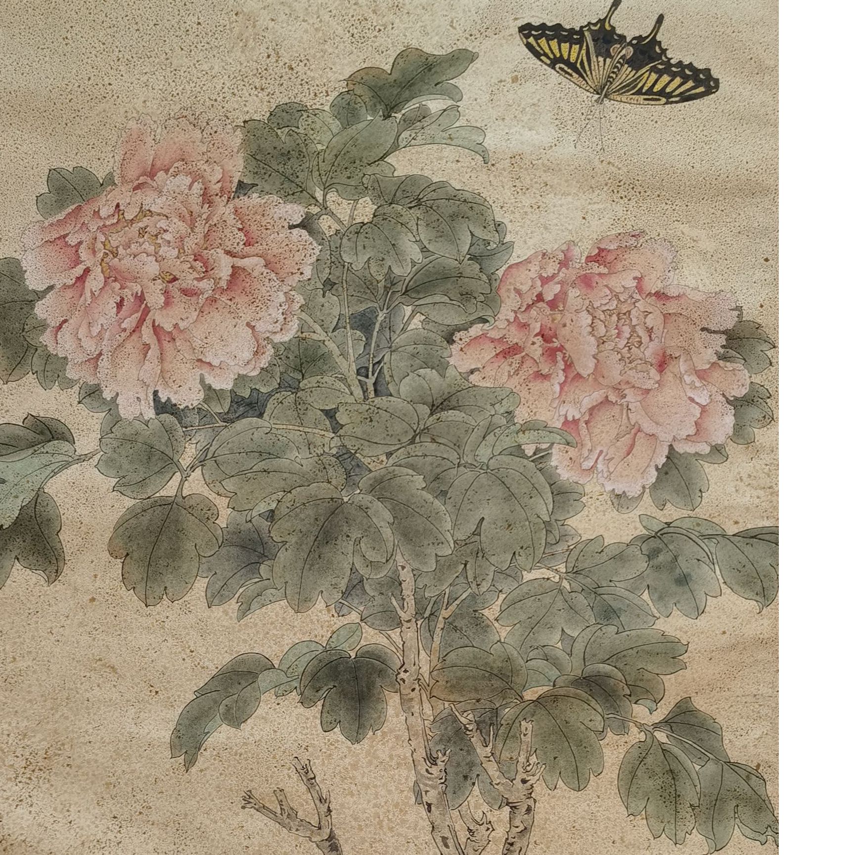 【辽拍】V250709-2-691《花蝶》（4.1平尺）纸本镜片 lj1219