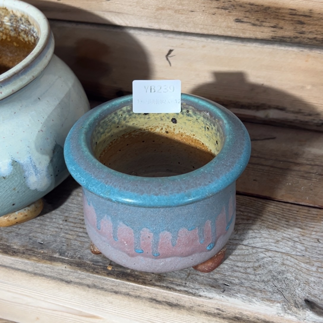 *****1987多肉花盆特价场239