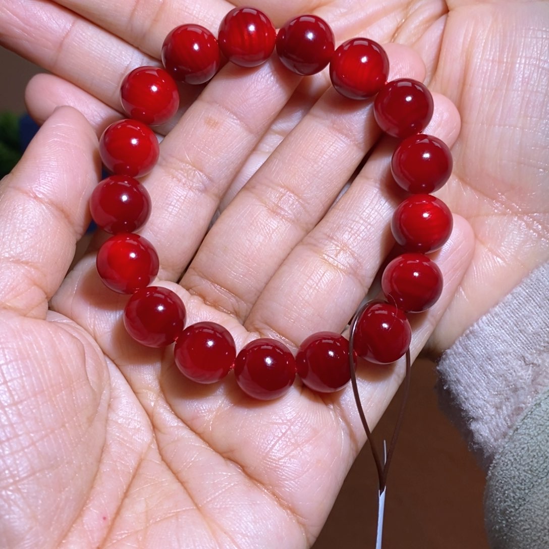 贝壳杉帝王血龙木1.2