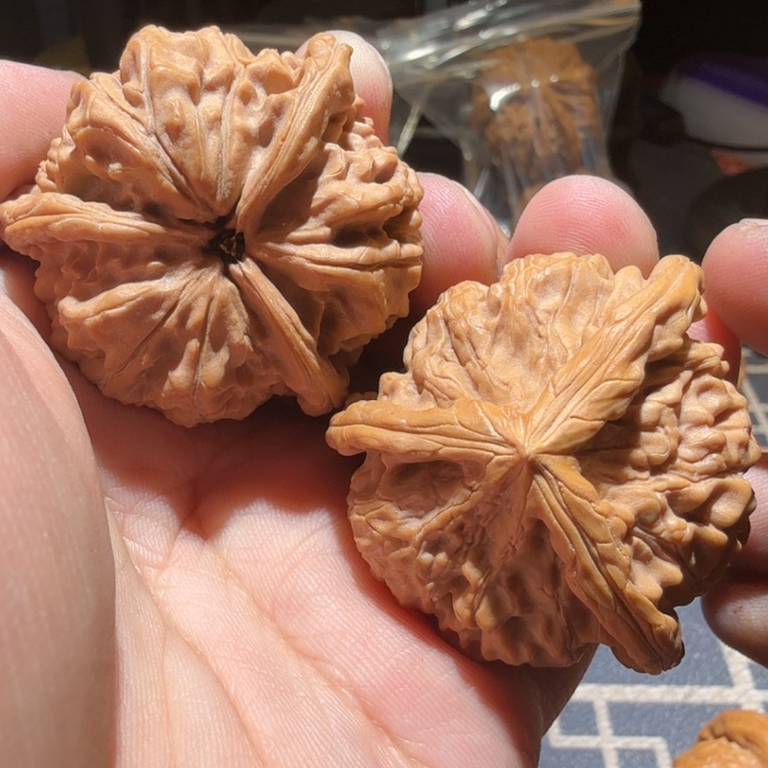 文玩核桃把件玉玺正奔