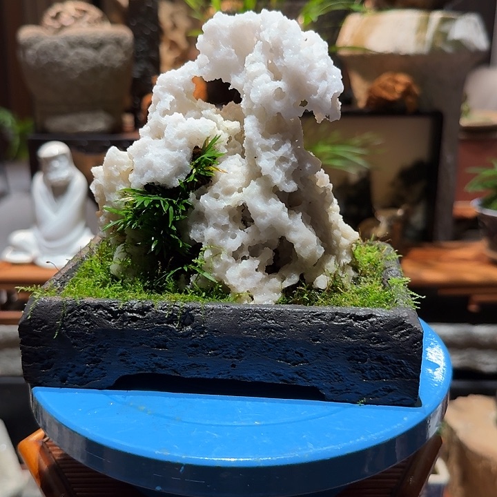 昆石石头草。。。。。。