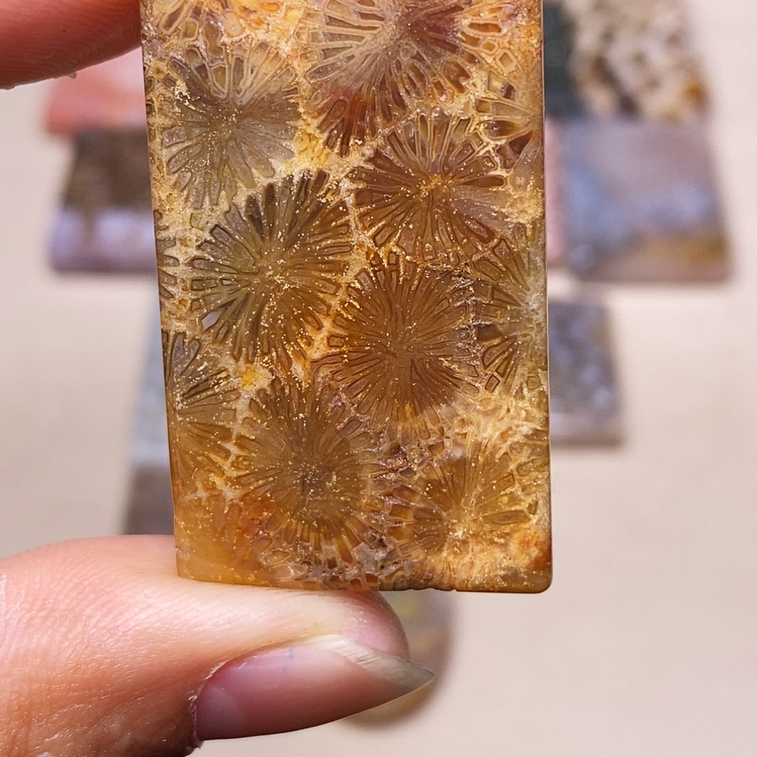 蒜***机硅化玉合金珊瑚玉