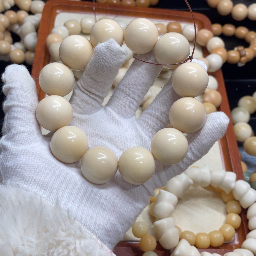 菩提根/象牙果吊坠22+干磨微瑕牙果圆珠371