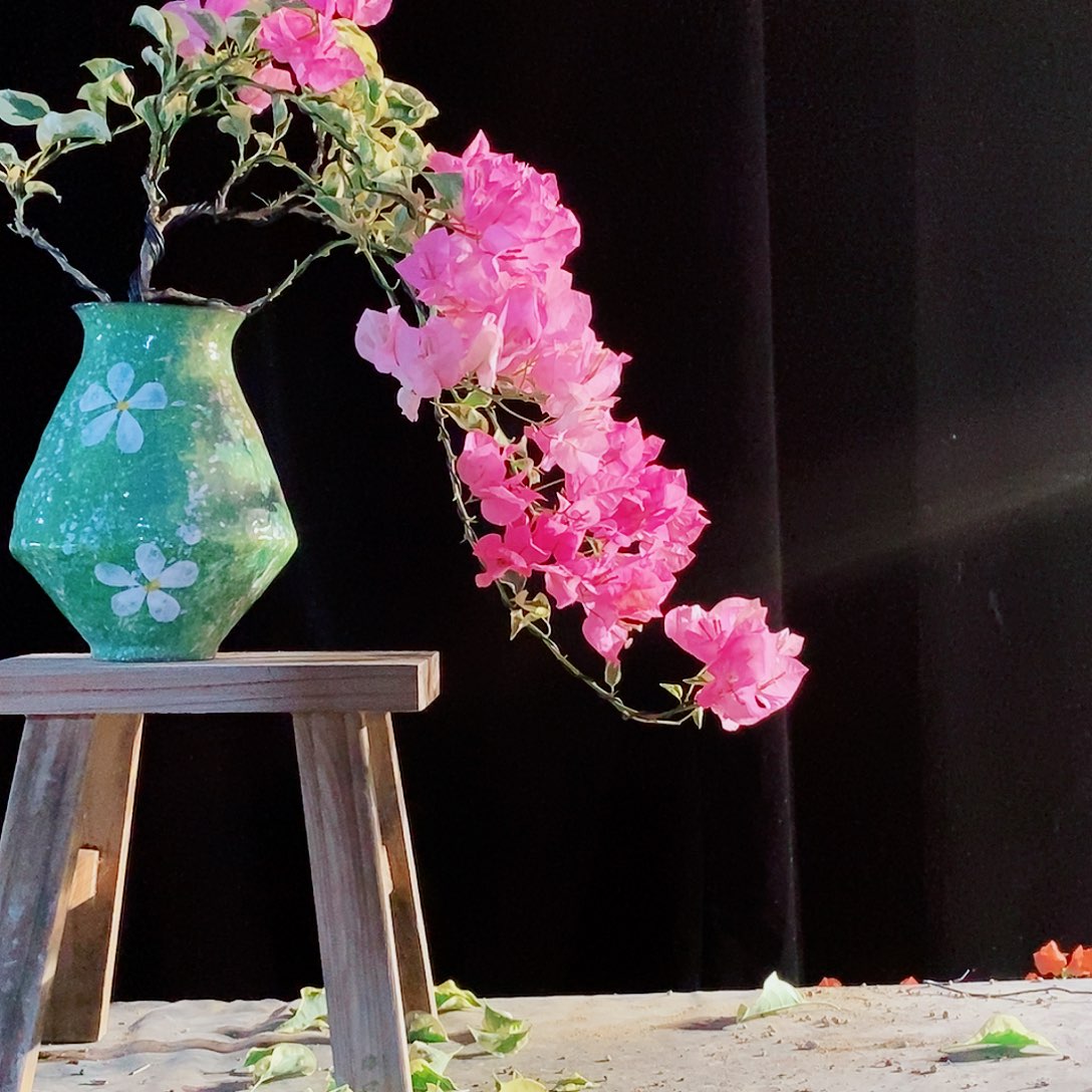 无花朵中国丽人三角梅