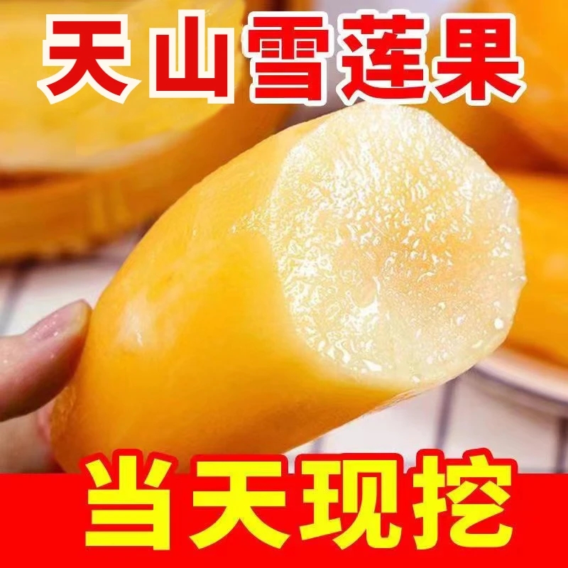 云南正宗雪莲果孕妇水果