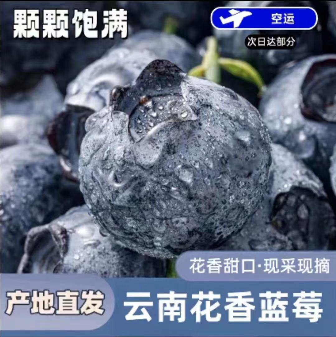 18-20mm空运包邮HD甄选当季蓝莓鲜果孕妇整箱新鲜水果肉厚脆甜