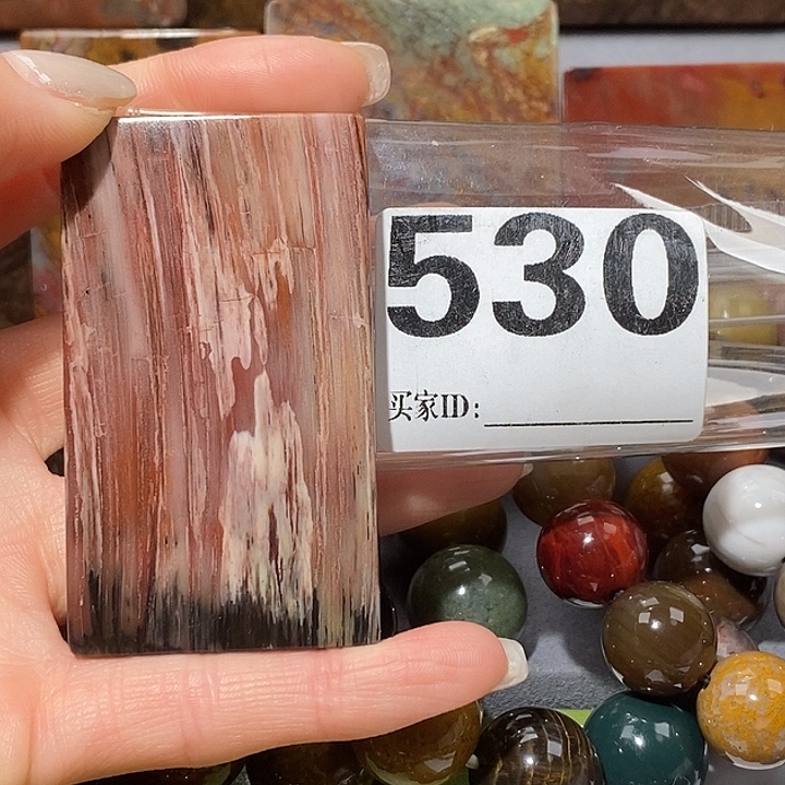 硅化玉未镶嵌天然北票树化玉吊坠