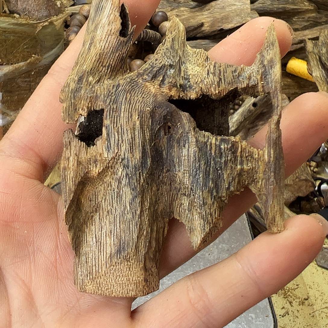 木绿奇楠虫漏13克