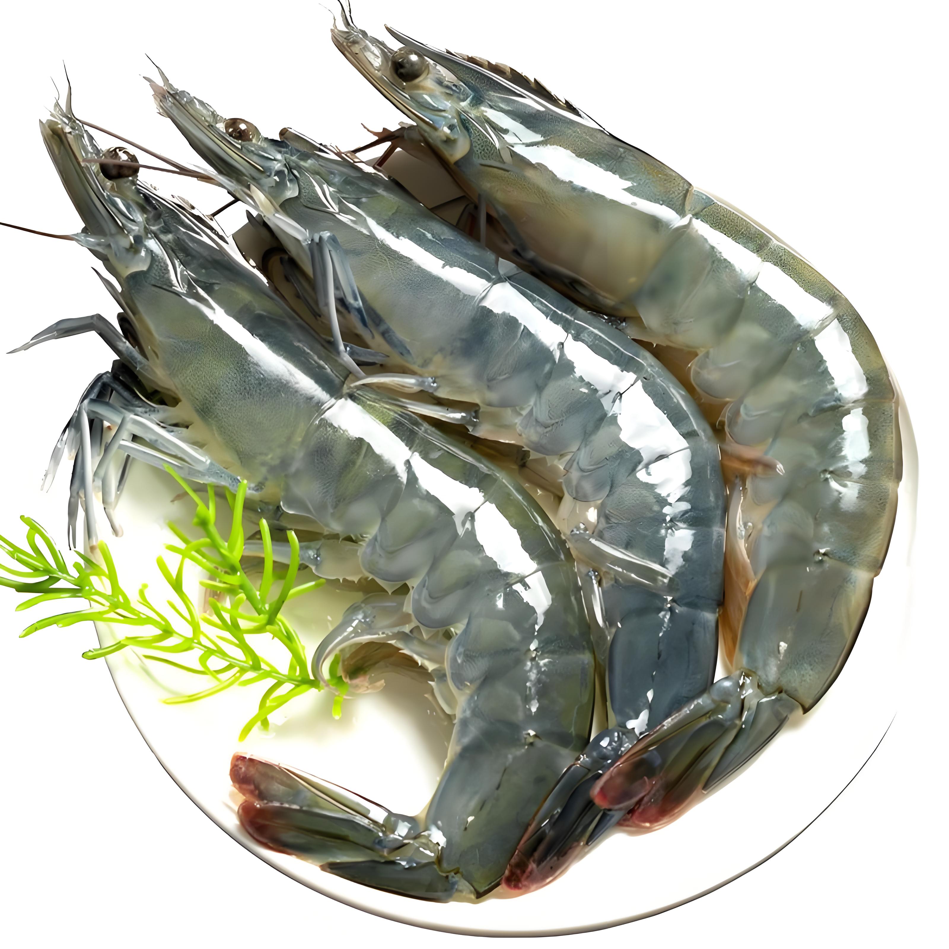 活青虾（500g±20g）