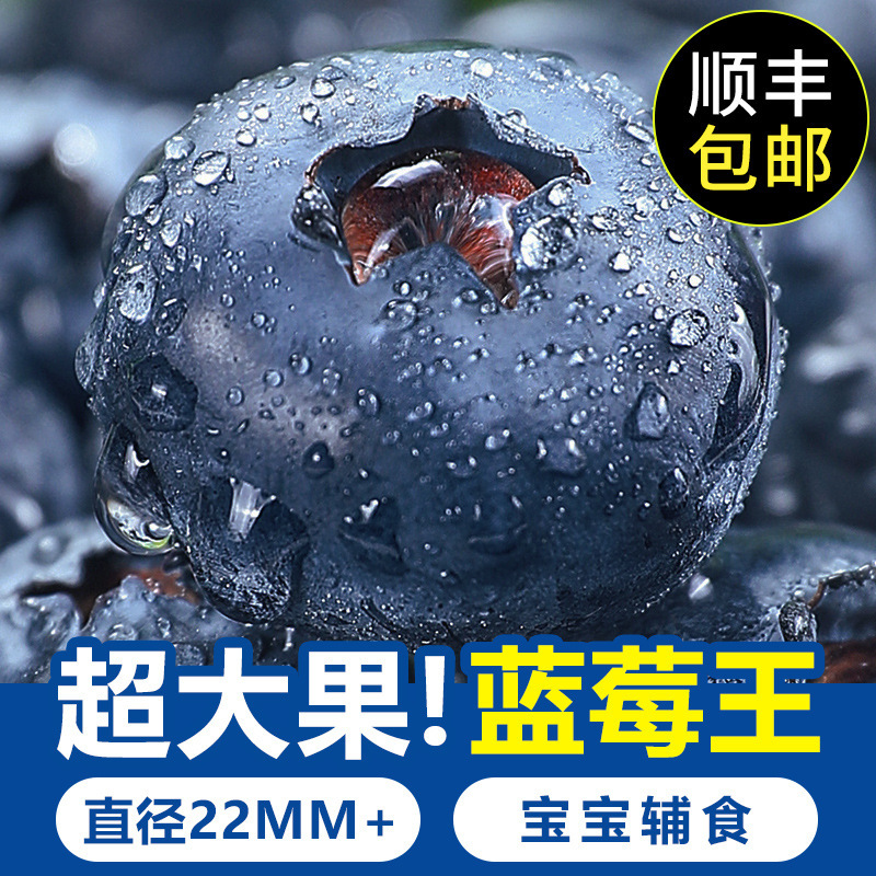 【全疆包邮】云南牛眼果王蓝莓脆甜可口一件6盒新鲜当季