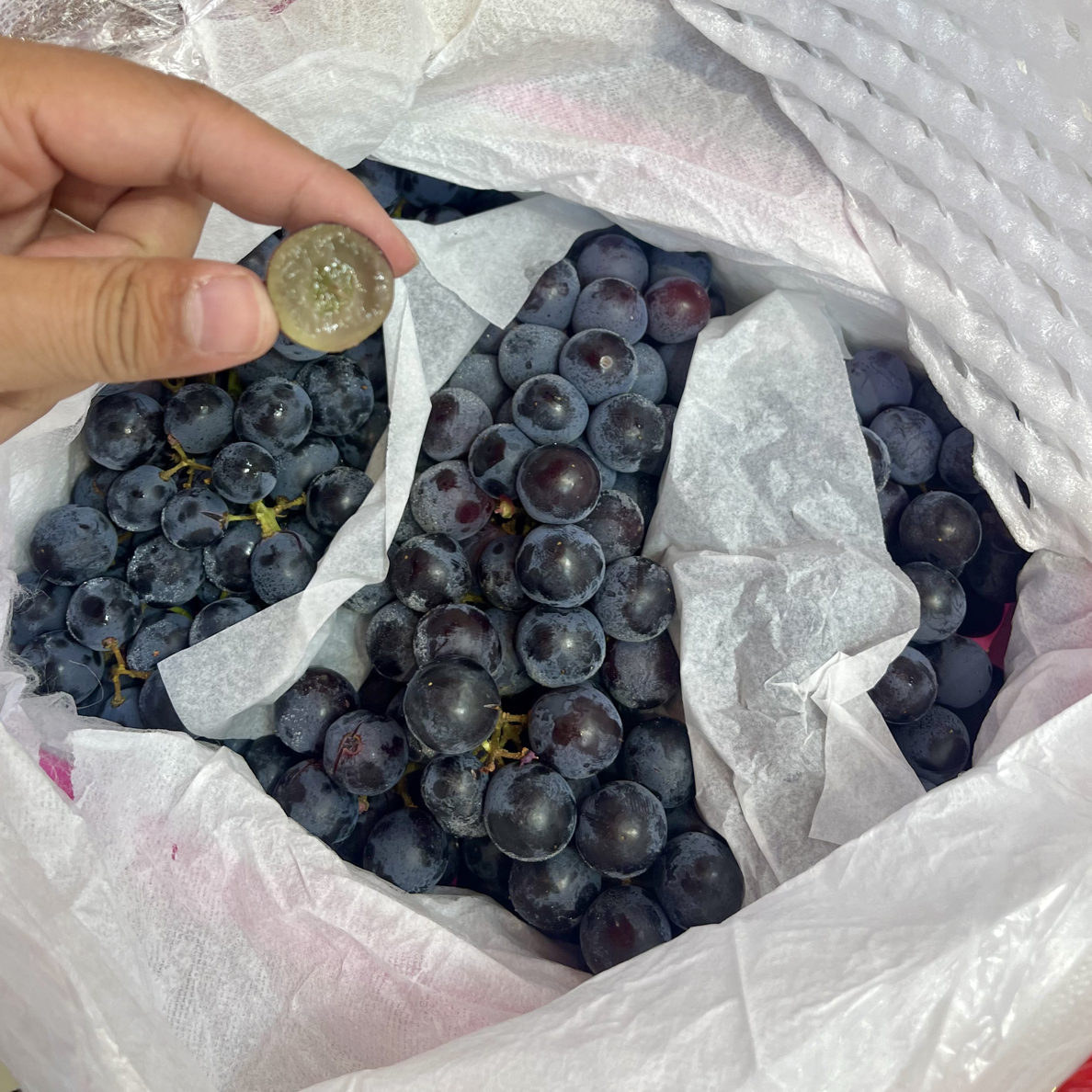 新疆蓝莓葡萄纯甜无籽四斤装新疆维吾尔自治区