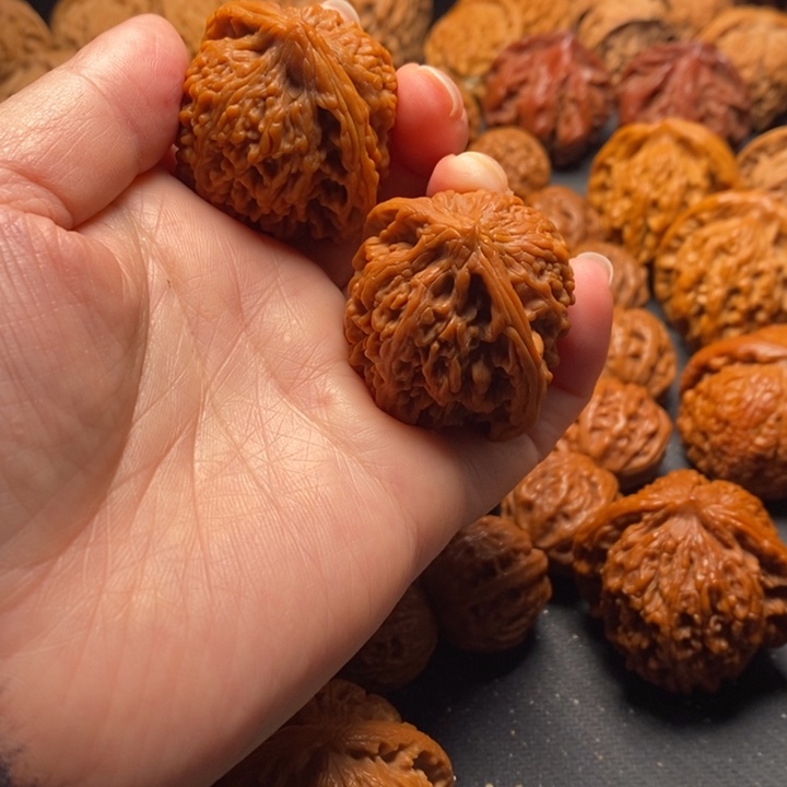 秦岭野生11111111