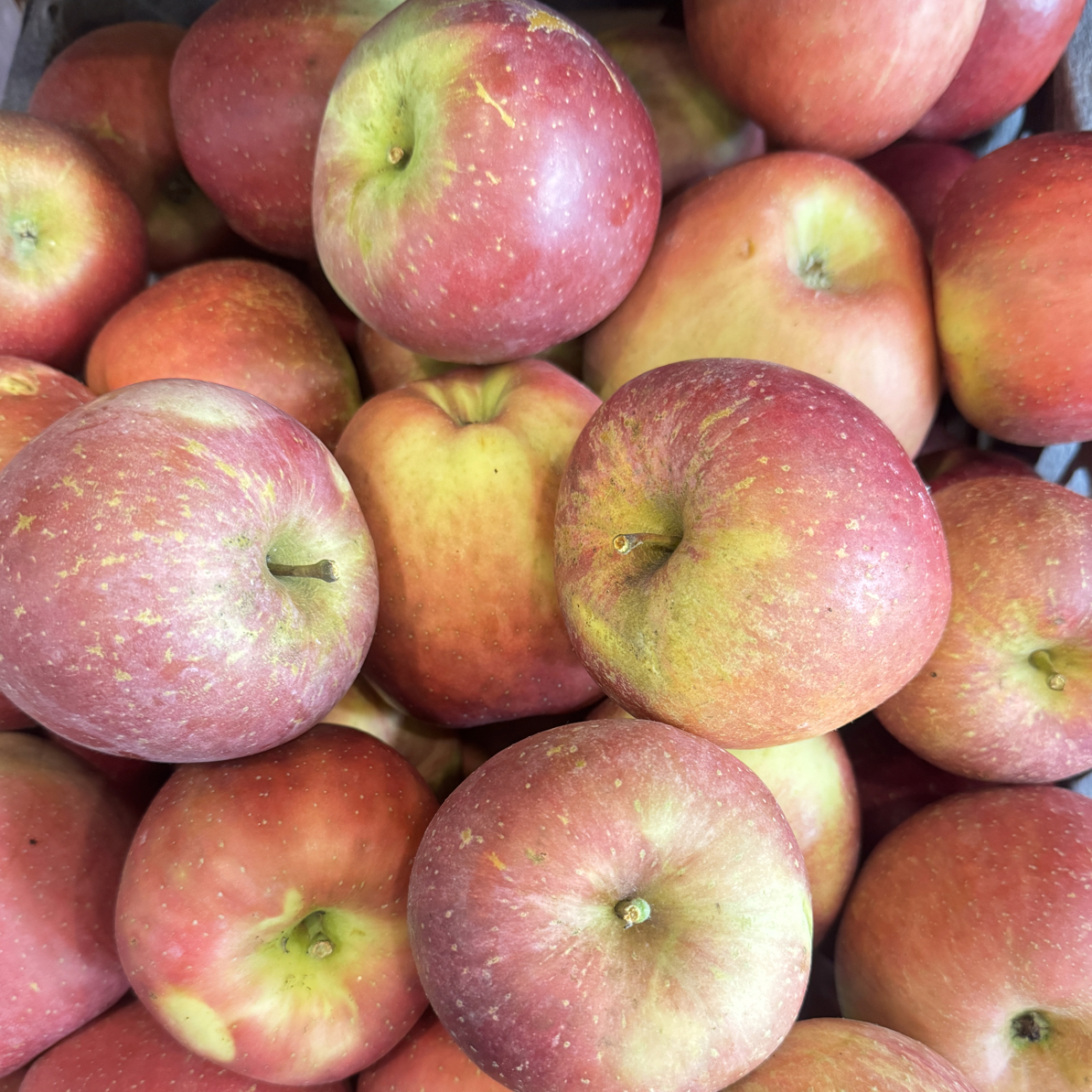 马龙苹果1kg丑苹甜脆果云南省