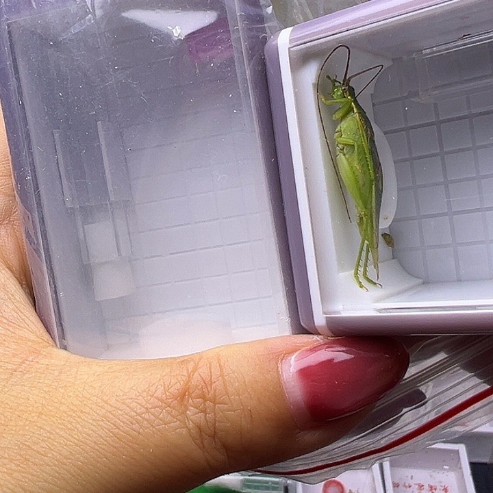 *****哈哈哈哈哈哈哈哈哈哈