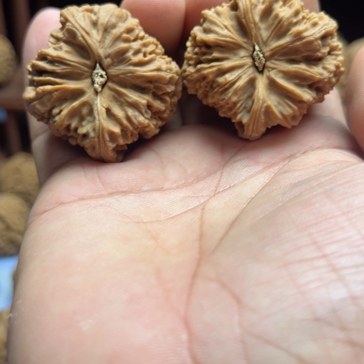 完全开放鹏南疆石