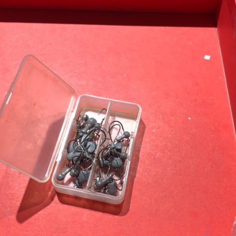 微物铅头钩开始拍啦