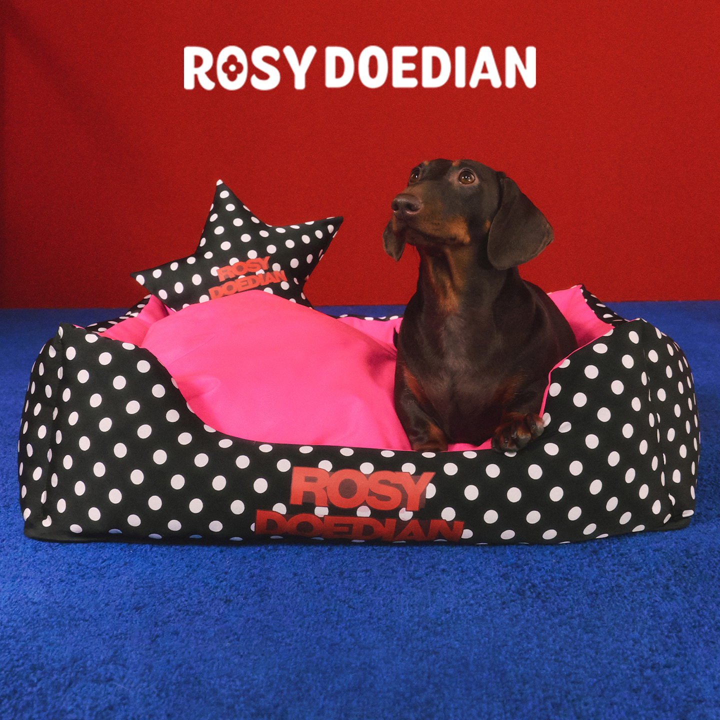 ROSYDOEDIAN我都想进去睡宠物窝四季通用狗狗窝垫可拆深睡窝