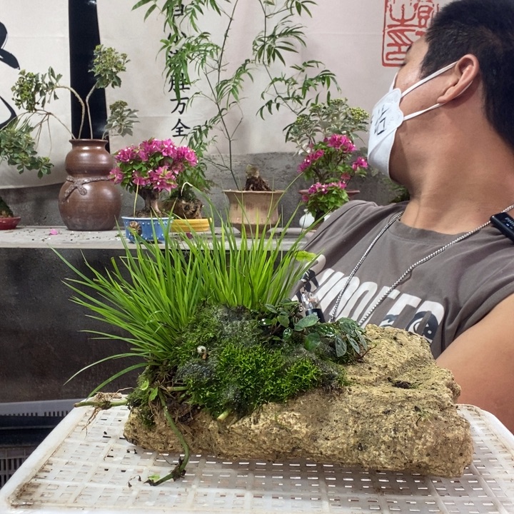 壳***子无花朵退款拉黑151