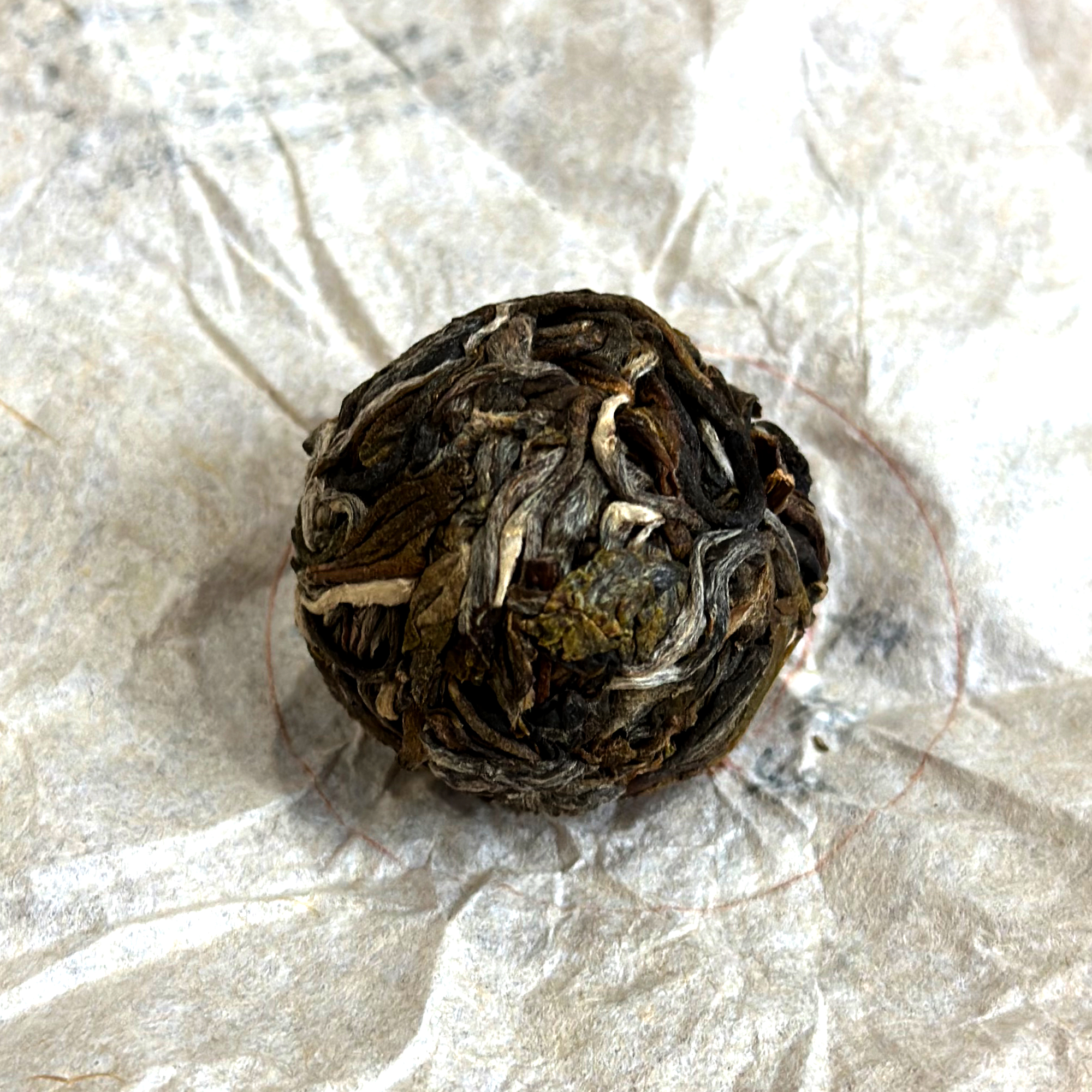 粉丝体验老班章真味 素叶梵心 2024年 老班章乔木龙珠 生茶