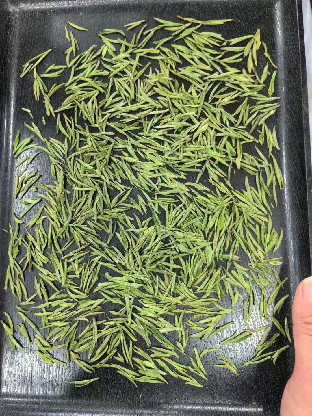 2025年新茶 安吉特产高山白茶茶农自销茶铁罐包装