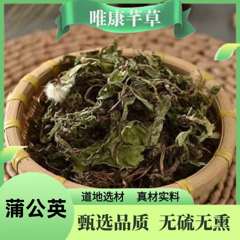 芊草【蒲公英】高品质无硫蒲公英新货野生蒲公英根婆婆丁茶甘草等