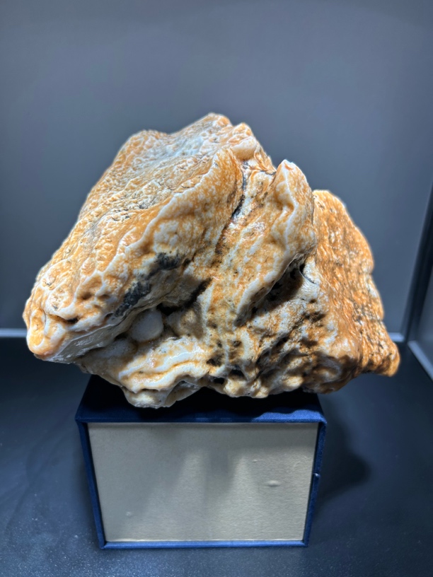 沙漠漆山形石 全皮全漆