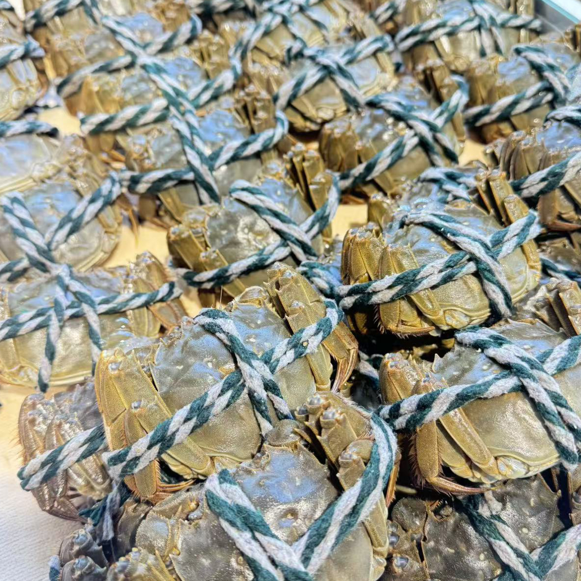 大闸蟹   100g（2两）母蟹 10只（大闸蟹）塘养