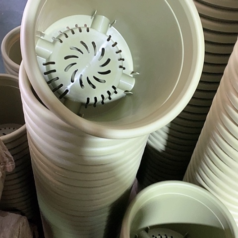 树脂四季3号果绿无托10个