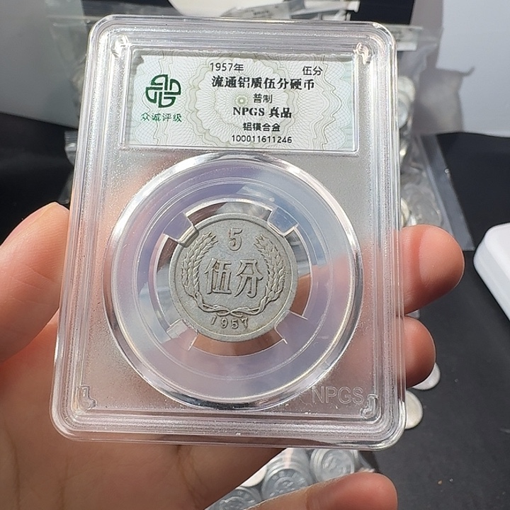 松***柏一二五分二斤啊啊啊啊啊