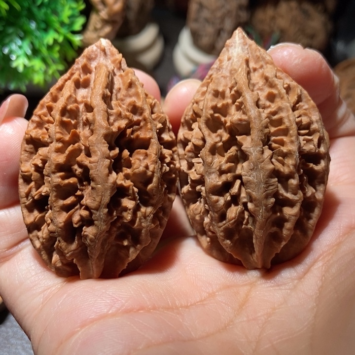 把件文玩核桃东北楸子小雪243