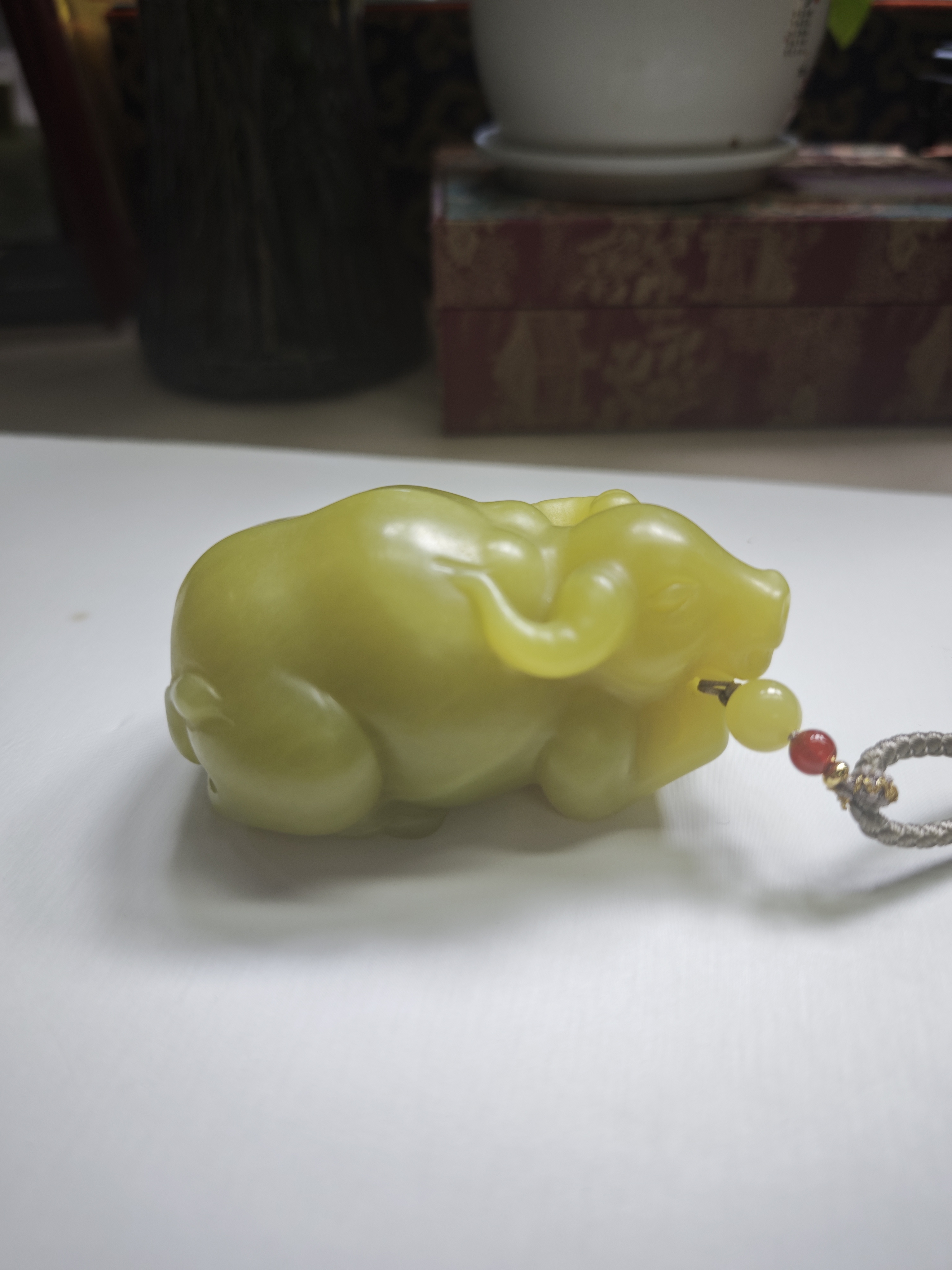 新疆若羌黄口专拍链接