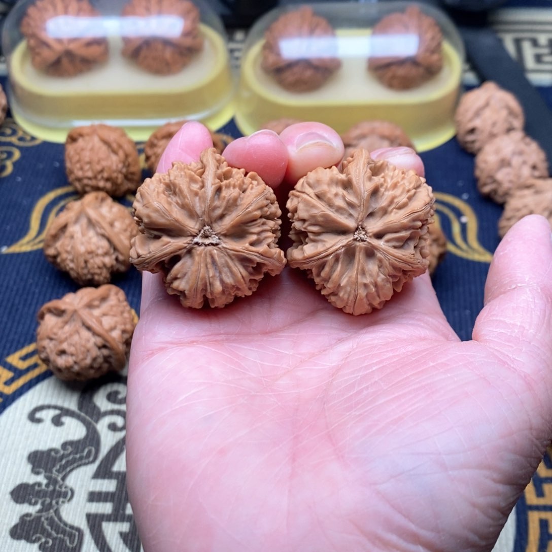 手串/手链橄榄核米*文山37