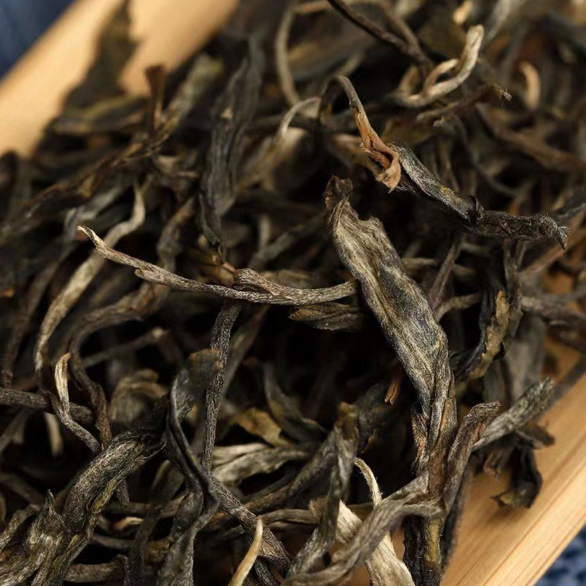 2021年【凤来朝堂】云南普洱茶 凤凰窝 古树生茶  散茶100g