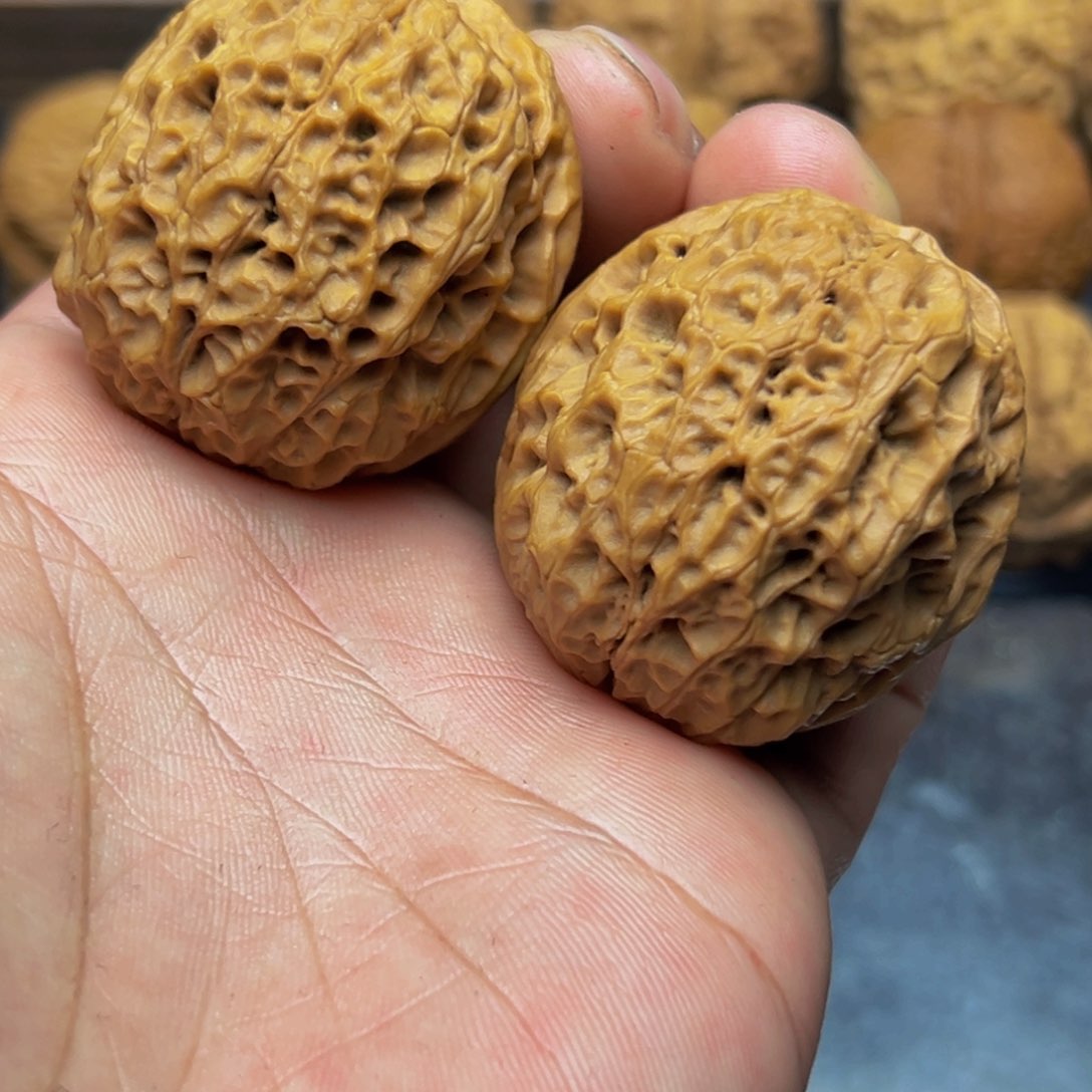 42尺寸麒麟绣球 一物一图