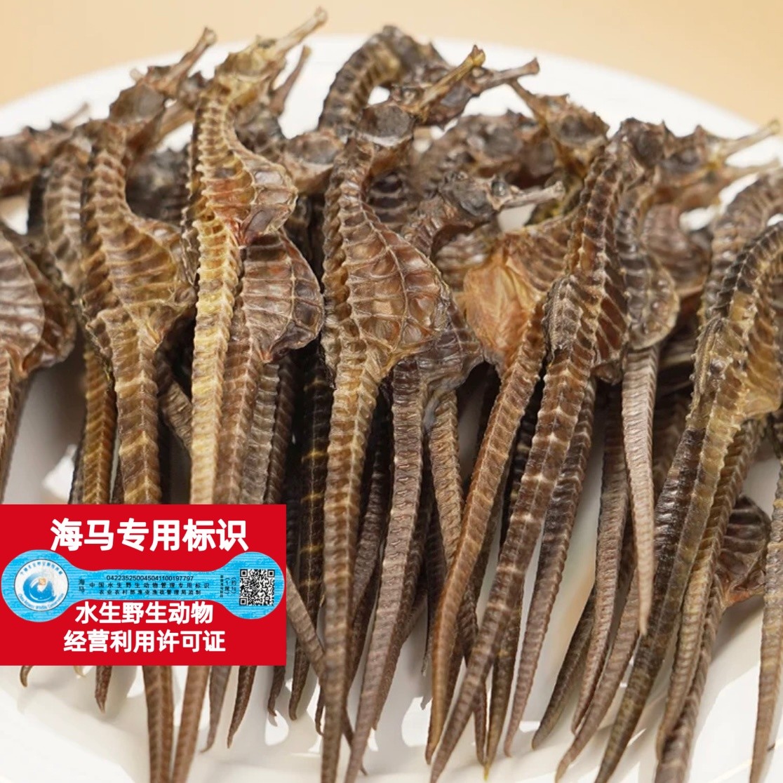 海马干货正宗带溯源码当季高品质足干货正品煲汤泡酒每对约3g盒装