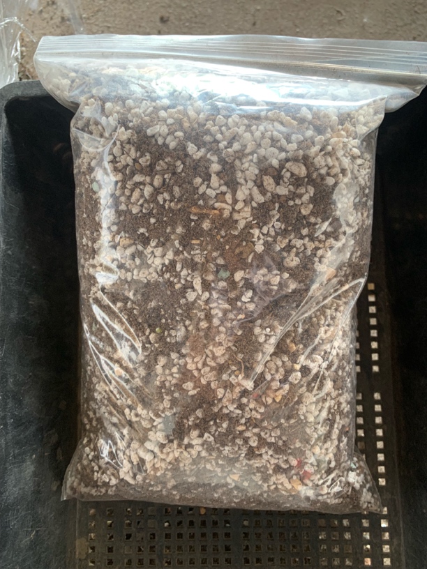 疏松透气多肉植物专用颗粒土适合种植发根