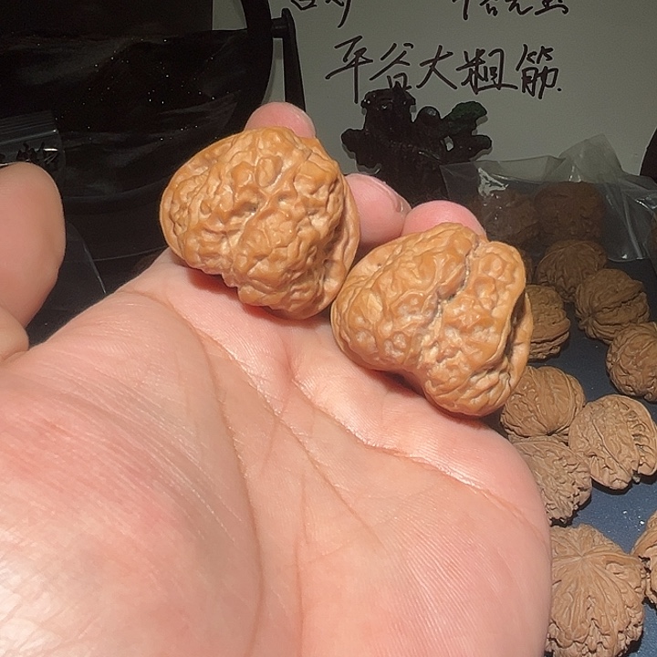 木40精品三角蛤蟆头。