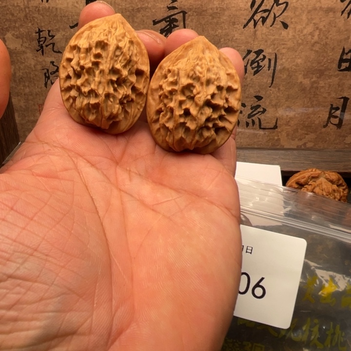 今日拍品推荐六号