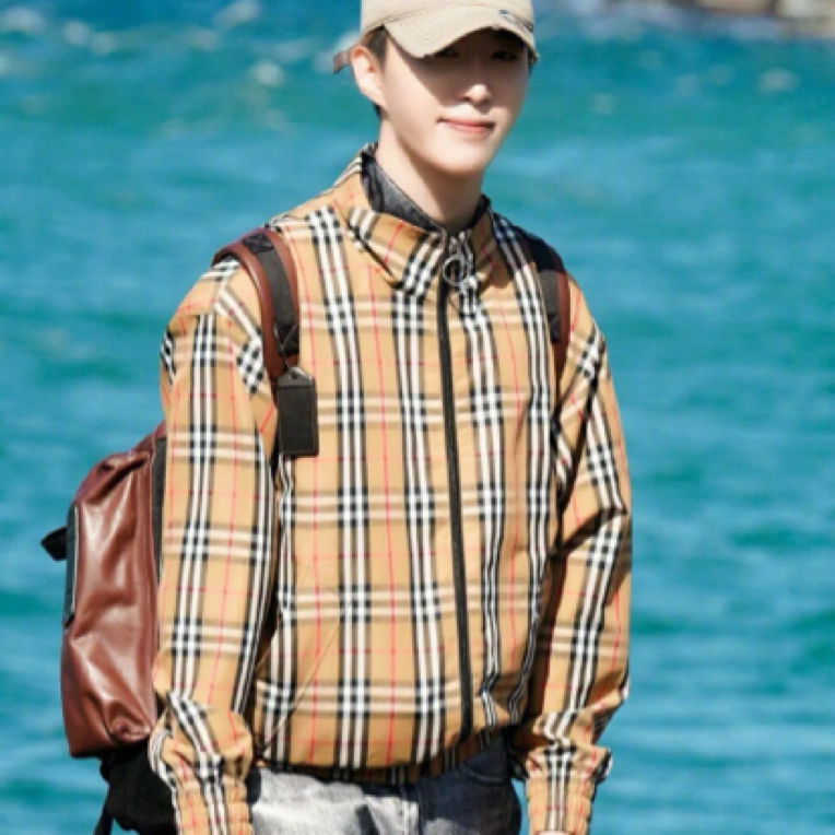 99新 BURBERRY/博柏利 001611  卡其色聚酯纤维格纹拉链夹克 46码