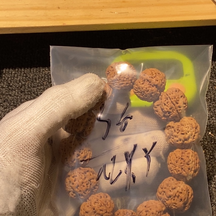 a***y吊坠金刚菩提我就去看看这本了